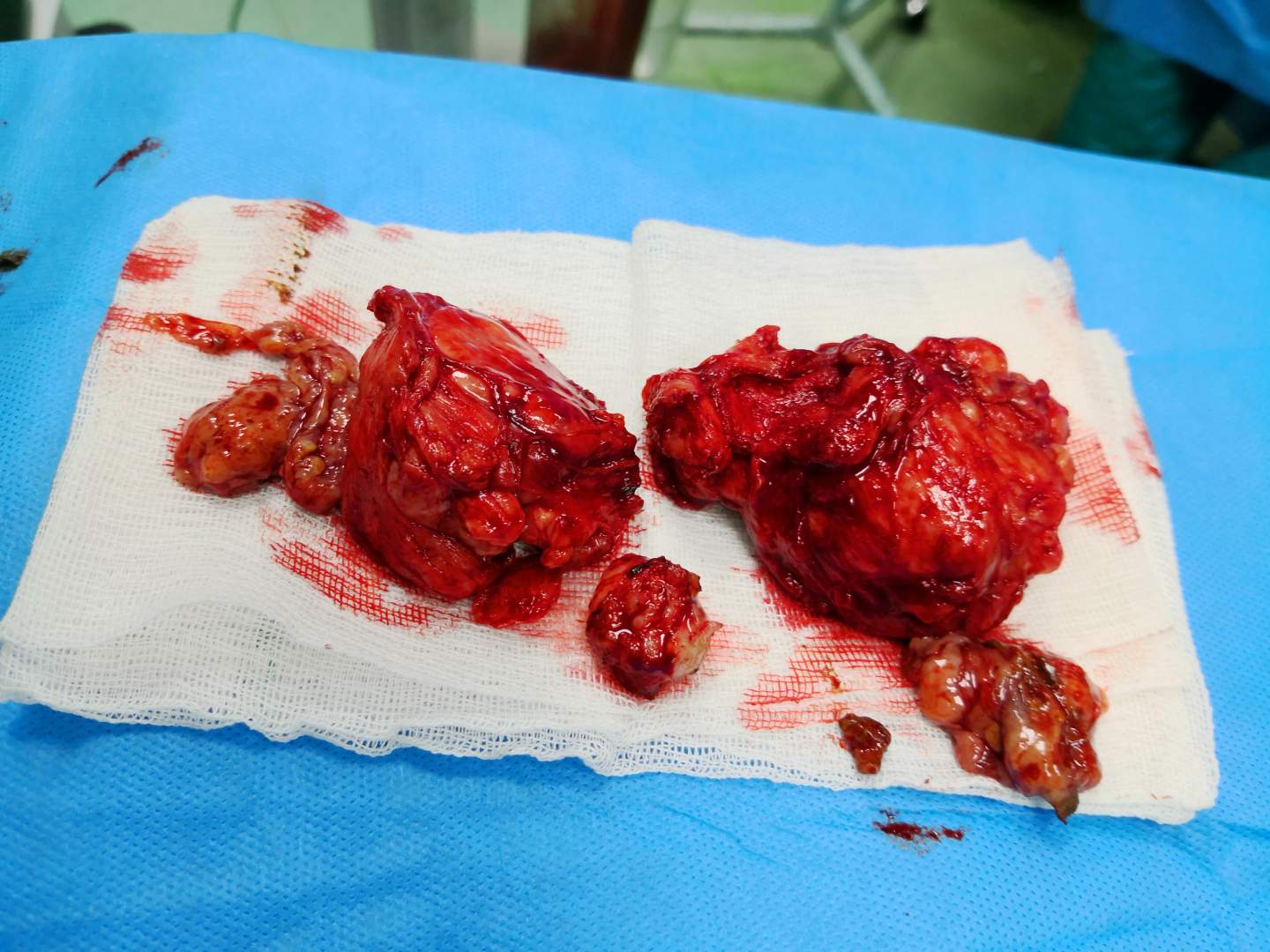 سعید صادق زاده - gallery