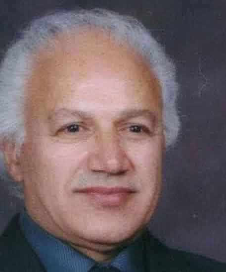 محمد حسین امینی