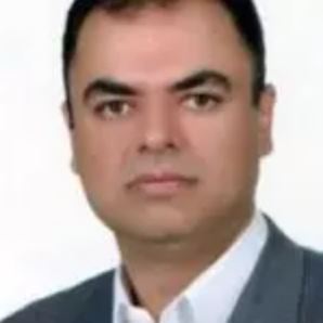 دکتر حمیدرضا محتشمی